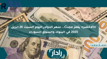 «الأخضر» يقفز مجددًا.. سعر الدولار اليوم السبت 26 أبريل 2025 في البنوك والسوق السوداء